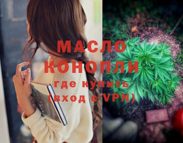 мдпв Володарск