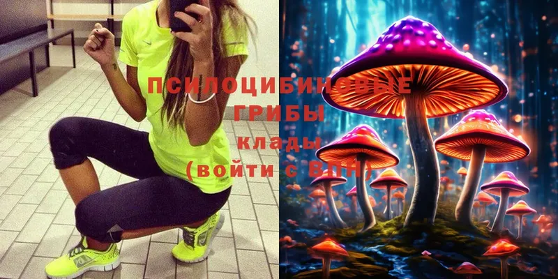 Псилоцибиновые грибы MAGIC MUSHROOMS  Чистополь 